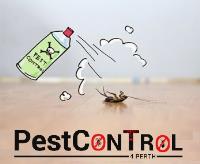 Cockroach Control Perth image 7